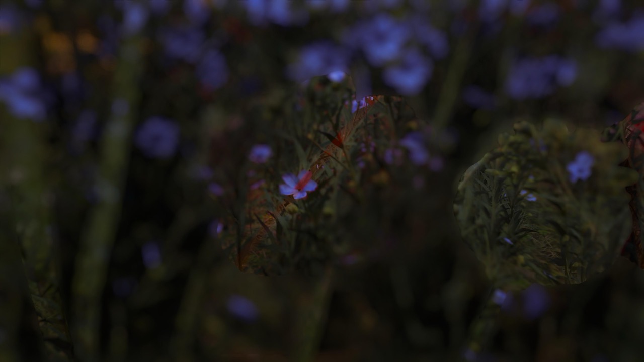 Studies on Breaking Immersion